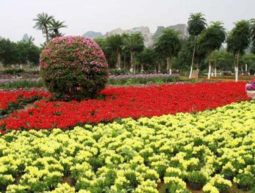 南寧十大最適合情侶去的地方,歐洲風情園、大明山風景區很浪漫