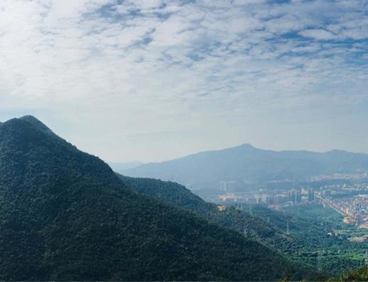 東莞十大適合節慶游的地方,東莞可園、粵暉園人潮涌動