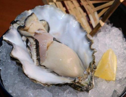 全球十大生蠔排行榜,吉拉多生蠔肥美結(jié)實(shí)、翡翠生蠔非常罕見