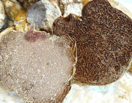 全球最貴的五大蔬菜,連州菜心以62萬被拍下、白松露稀有罕見