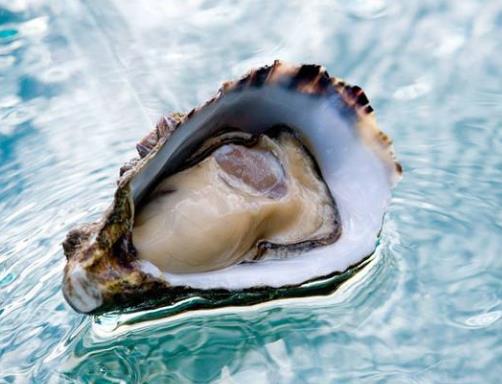 全球十大生蠔排行榜,吉拉多生蠔肥美結(jié)實(shí)、翡翠生蠔非常罕見