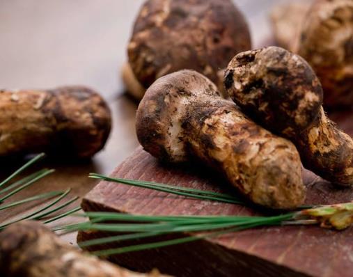 全球最貴的五大蔬菜,連州菜心以62萬被拍下、白松露稀有罕見