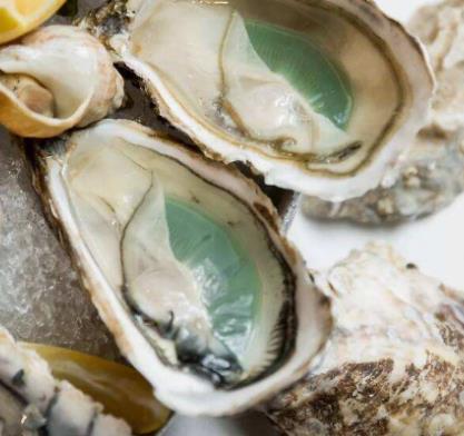 全球十大生蠔排行榜,吉拉多生蠔肥美結(jié)實(shí)、翡翠生蠔非常罕見