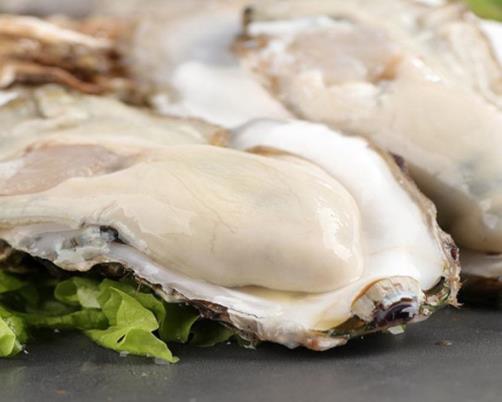 全球十大生蠔排行榜,吉拉多生蠔肥美結(jié)實(shí)、翡翠生蠔非常罕見