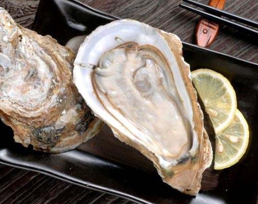 全球十大生蠔排行榜,吉拉多生蠔肥美結(jié)實(shí)、翡翠生蠔非常罕見