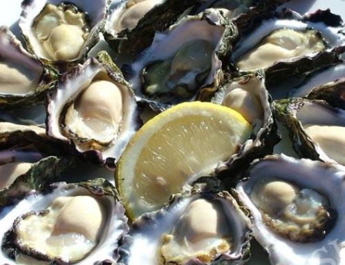 全球十大生蠔排行榜,吉拉多生蠔肥美結(jié)實(shí)、翡翠生蠔非常罕見