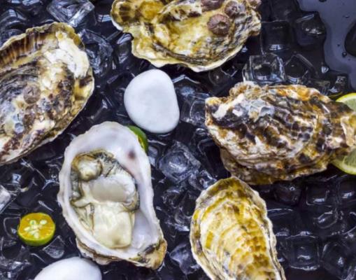 全球十大生蠔排行榜,吉拉多生蠔肥美結(jié)實(shí)、翡翠生蠔非常罕見