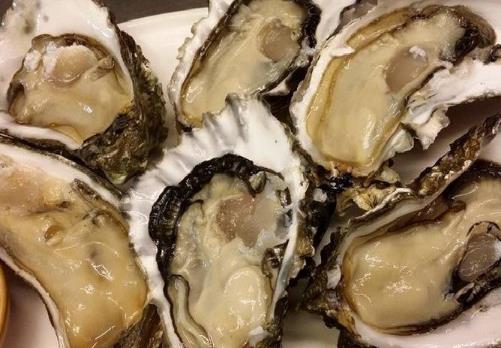 全球十大生蠔排行榜,吉拉多生蠔肥美結(jié)實(shí)、翡翠生蠔非常罕見