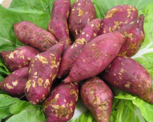 十種抗衰老食物排行榜,西洋菜改善皮膚健康,紅燈籠椒富含抗氧化劑