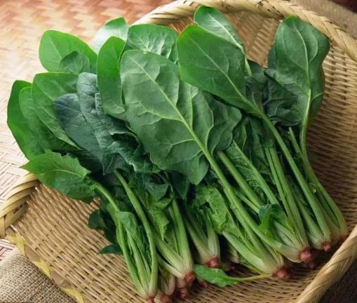 十種抗衰老食物排行榜,西洋菜改善皮膚健康,紅燈籠椒富含抗氧化劑