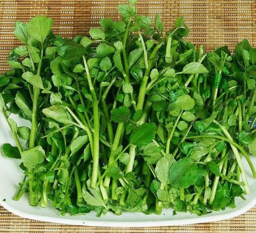 十種抗衰老食物排行榜,西洋菜改善皮膚健康,紅燈籠椒富含抗氧化劑