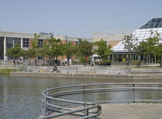 世界工科排名前十的大學(xué),清華大學(xué)、新加坡國(guó)立大學(xué)世界級(jí)頂尖