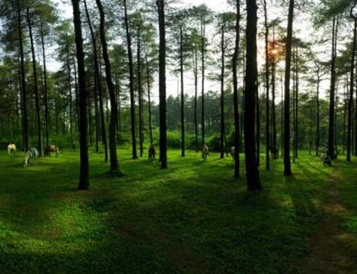 貴陽十大免費景點,阿哈湖國家濕地公園、多彩貴州城有民族特色