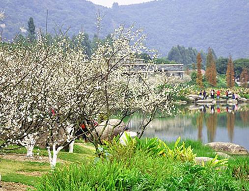 廣東十大冬季旅游好去處,羅浮山風景區、海泉灣自然風光旖旎