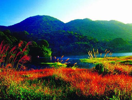 廣東十大冬季旅游好去處,羅浮山風景區、海泉灣自然風光旖旎