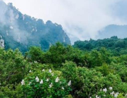 石家莊十大最美景點,隆興寺又名大佛寺,嶂石巖的回音壁效果好