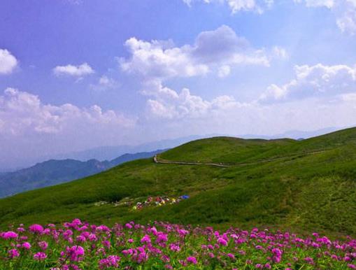 貴州十大冬季旅游好去處,玉舍國家森林公園、石阡溫泉享受美好和刺激