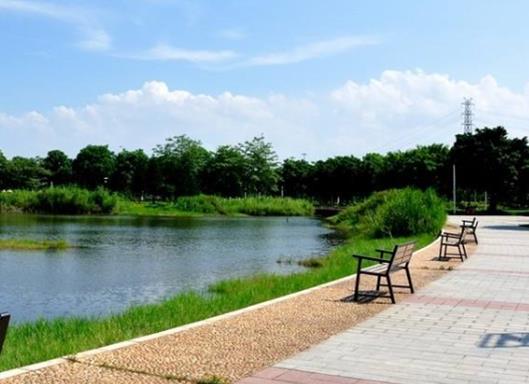 廣州十大公園排行榜,大觀濕地公園環(huán)境好、白云湖可觀看燈光節(jié)