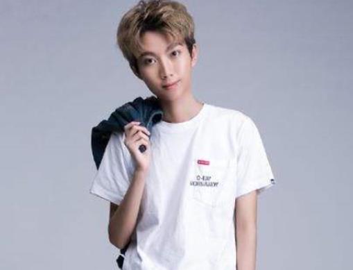 王者榮耀十大主播排名,張大仙粉絲千萬、孤影英雄池很深