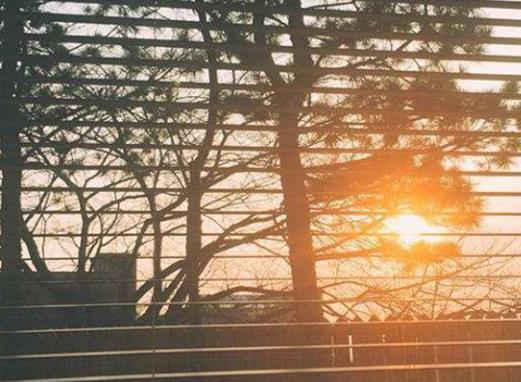 2020抖音網紅歌曲排行榜,swagger、Ben 10很洗腦很魔性