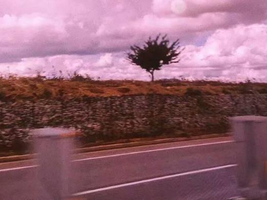 2020抖音網紅歌曲排行榜,swagger、Ben 10很洗腦很魔性