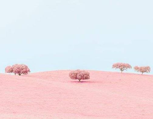 2020抖音網紅歌曲排行榜,swagger、Ben 10很洗腦很魔性