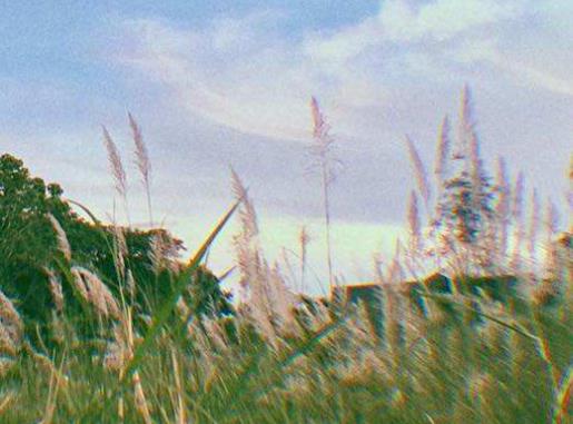 2020抖音網紅歌曲排行榜,swagger、Ben 10很洗腦很魔性