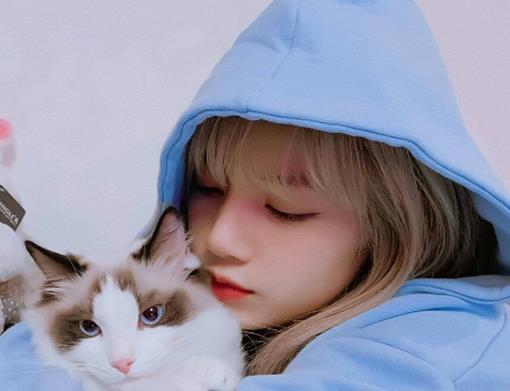 2020韓國愛豆ins粉絲排名,Lisa長得又純又欲,Jennie知名度高