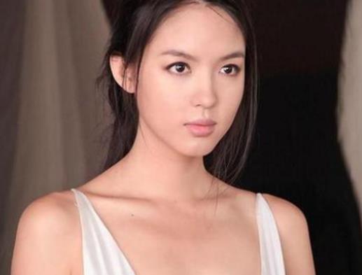 中國十大首席名模排名,劉雯、何穗都是維多利亞的秘密的常客