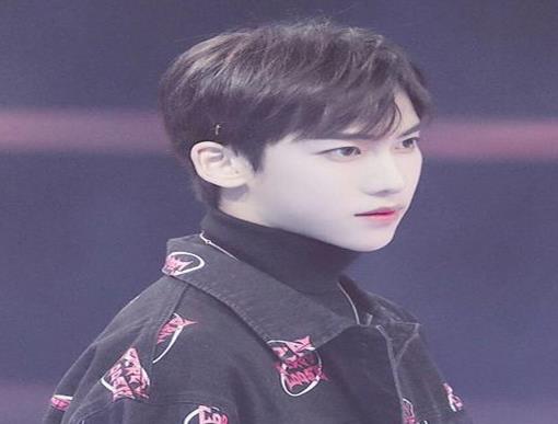 樂華娛樂十大男藝人排行榜,王一博出演陳情令、韓庚發展很好