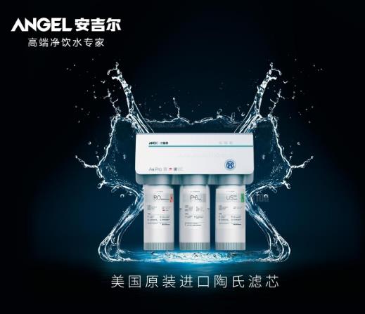 世界十大凈水器設備排名,冰尊凈水器、圣帝尼凈水器更干凈更健康