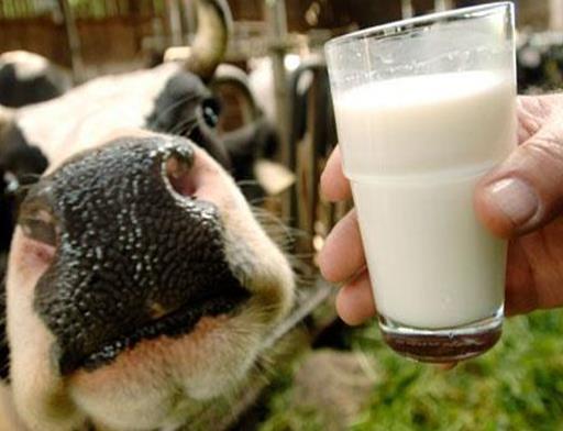 孕婦堅決不能吃的東西排名,桂圓易上火便秘、罐頭食品對健康不利