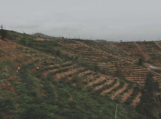 河源十大玩樂場(chǎng)所排名,途樂戶外俱樂部超級(jí)火爆、紫金客茶谷環(huán)境漂亮