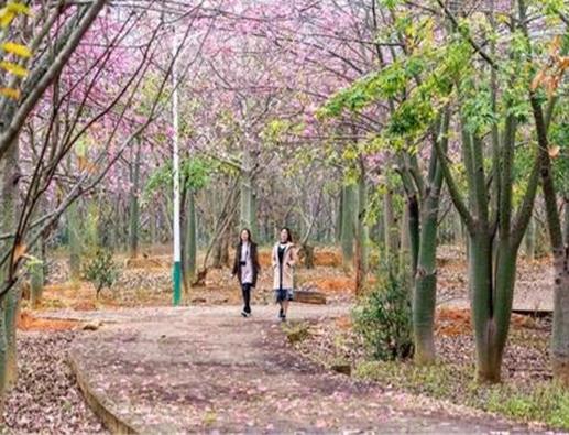 河源十大玩樂場(chǎng)所排名,途樂戶外俱樂部超級(jí)火爆、紫金客茶谷環(huán)境漂亮