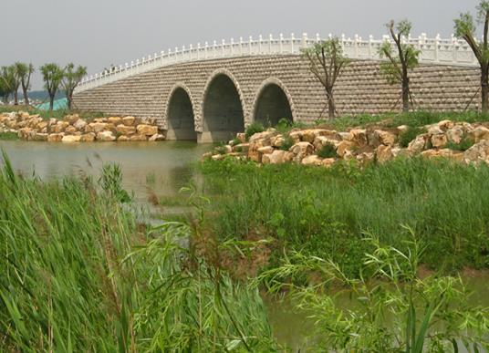 濱州十大景區排行榜,魏集古村落氣質古樸,十里荷塘是花的海洋