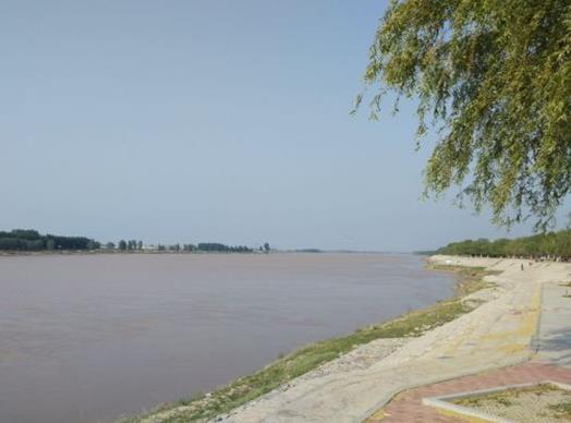 濱州十大景區排行榜,魏集古村落氣質古樸,十里荷塘是花的海洋