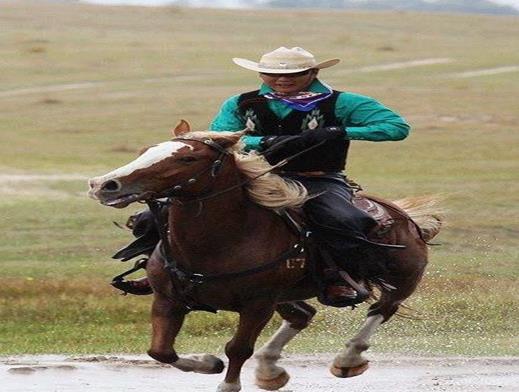 赤峰十大玩樂場所排名,赤峰市翁牛特旗沙海灣度假村越玩越野超刺激