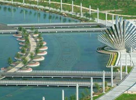 濱州十大景區排行榜,魏集古村落氣質古樸,十里荷塘是花的海洋