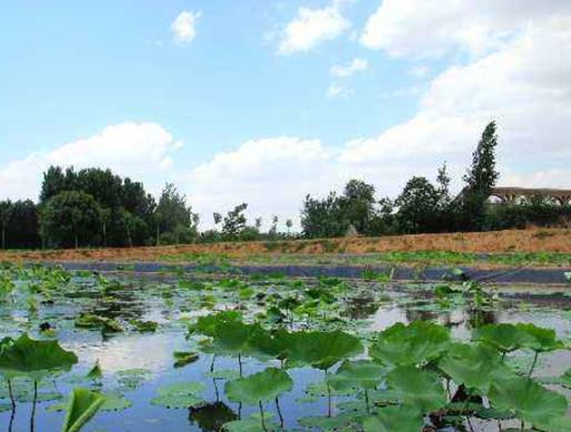 德陽十大公園廣場排行榜,三星堆大草原適合散步、東湖山公園環境很好