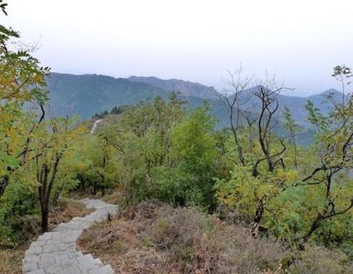 濱州十大景區排行榜,魏集古村落氣質古樸,十里荷塘是花的海洋