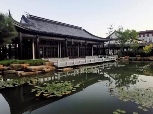 濱州十大景區排行榜,魏集古村落氣質古樸,十里荷塘是花的海洋