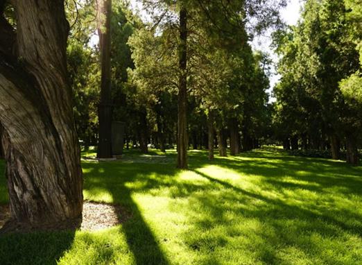 德陽十大公園廣場排行榜,三星堆大草原適合散步、東湖山公園環境很好