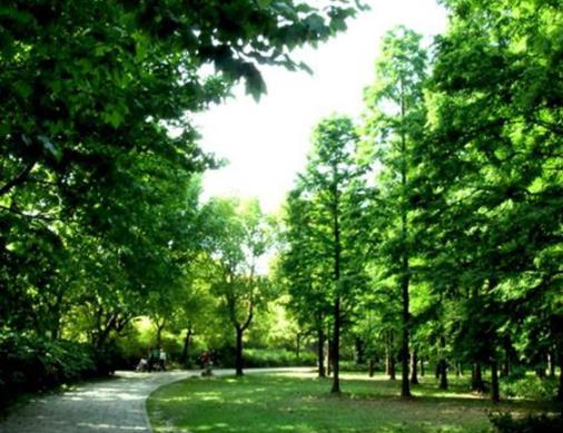 德陽十大公園廣場排行榜,三星堆大草原適合散步、東湖山公園環境很好