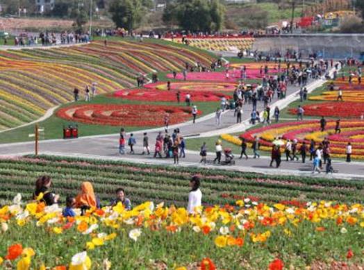 赤峰十大玩樂場所排名,赤峰市翁牛特旗沙海灣度假村越玩越野超刺激