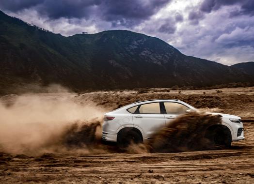 2020浙江民營企業500強名單,浙江吉利控股集團有限公司銷售網點多