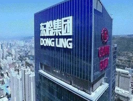2020陜西民營企業500強名單,東嶺集團股份有限公司專注于批發業