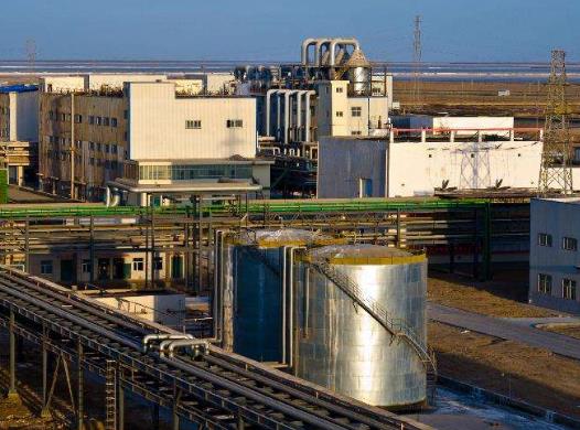 中國(guó)三大化肥廠排行榜,青海鹽湖工業(yè)集團(tuán)股份有限公司體系完整