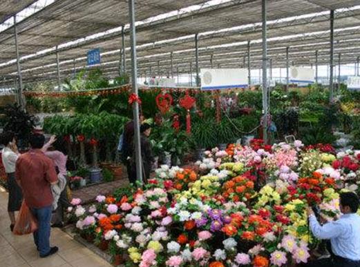 天津十大適合女生逛的好地方,奧特萊斯、集裝箱生活館KKV有吸引力