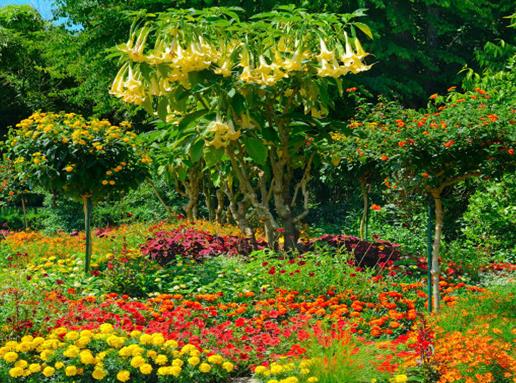 長春十大公園排行榜,榆樹公園、南湖公園是極佳的娛樂場所