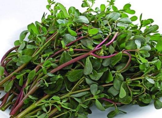 十大抗癌野菜排名,蕨菜清熱化痰、馬齒菜適合糖尿病患者